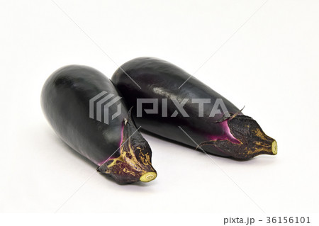 ナス（茄子） 36156101