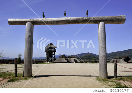 吉野ヶ里歴史公園 吉野ヶ里歴史公園 36156177