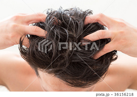 ヘアケア 36156218
