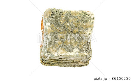 bread has a fungus on a white background. bread has a fungus on a white background. 36156256