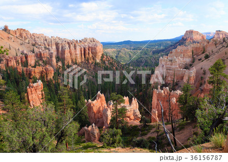 Panorama from Bryce Canyon National Park, USA Panorama from Bryce Canyon National Park, USA 36156787