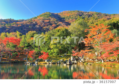 錦秋の天龍寺(曹源池庭園) 錦秋の天龍寺(曹源池庭園) 36157007