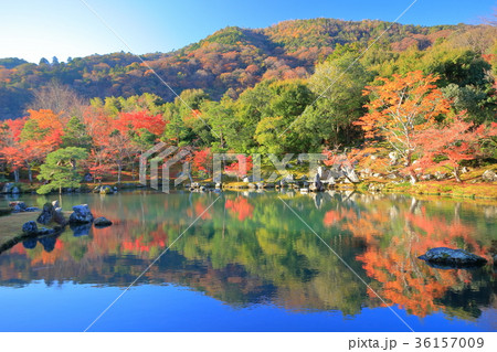 錦秋の天龍寺(曹源池庭園) 錦秋の天龍寺(曹源池庭園) 36157009