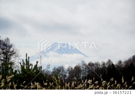 大菩薩峠から見た富士山 36157221