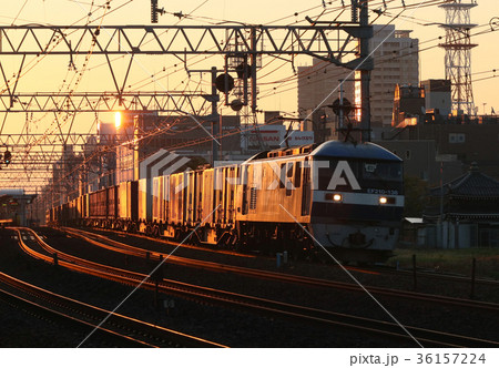 夜明けの貨物列車 36157224