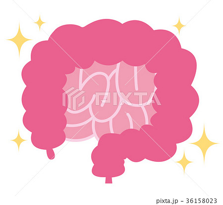 健康な腸 36158023