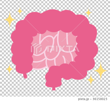 健康な腸 36158023