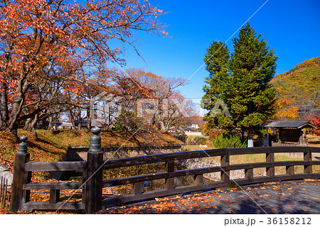 紅葉の龍岡五稜郭(長野県) 紅葉の龍岡五稜郭(長野県) 36158212