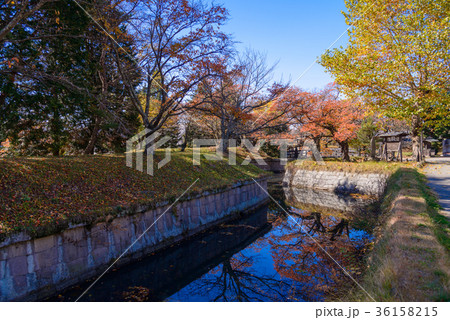 紅葉の龍岡五稜郭 堀(長野県) 紅葉の龍岡五稜郭 堀(長野県) 36158215
