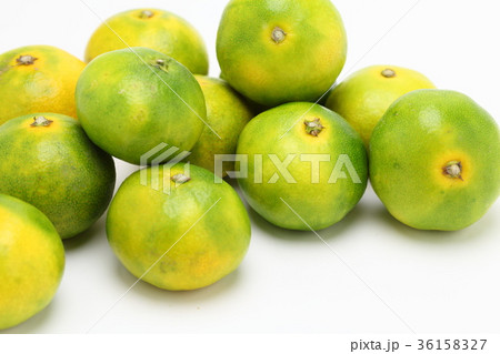 みかん みかん 36158327