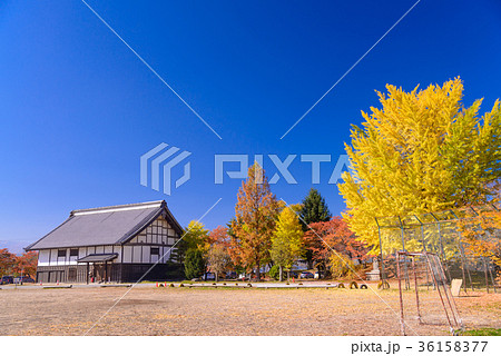 紅葉時期の龍岡五稜郭お台所(長野県) 紅葉時期の龍岡五稜郭お台所(長野県) 36158377