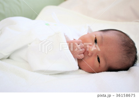 新生児* 生後5日目 新生児* 生後5日目 36158675