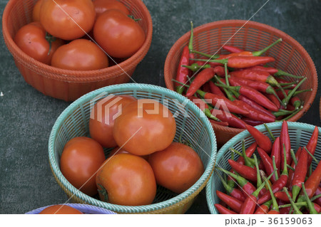 トマト トマト とまと 36159063