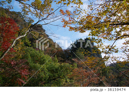 奥久慈男体山 山中 紅葉2 奥久慈男体山 山中 紅葉2 36159474