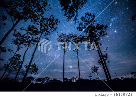 Night landscape with colorful Milky Way 36159723