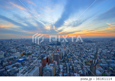 世田谷夕景 世田谷夕景 36161114