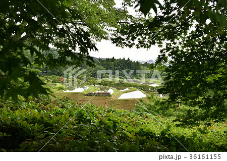 修学院離宮　田園風景 36161155