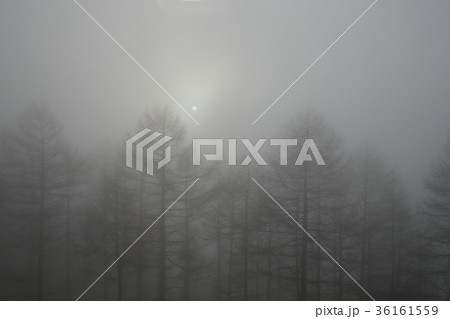 霧 霧 36161559