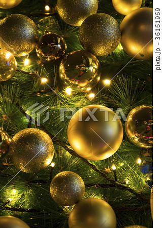 クリスマスホーリー クリスマス・ホーリー クリスマスツリー 36161969