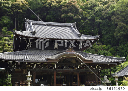 三室戸寺 本堂 三室戸寺 本堂 36161970