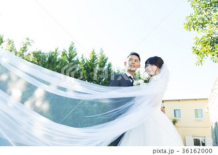フォトウエディング 結婚 新郎新婦 36162000