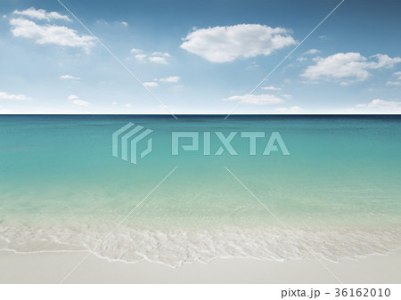 Beautiful sandy beach - tropical paradise 36162010