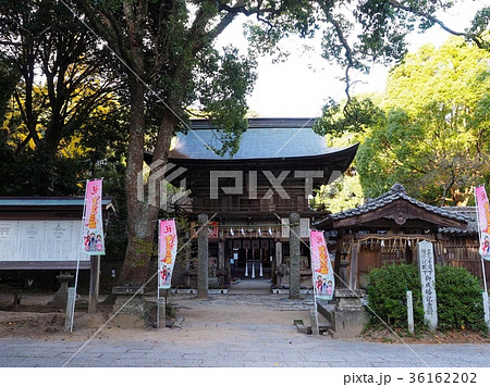 糸島市、櫻井神社 糸島市、櫻井神社 36162202