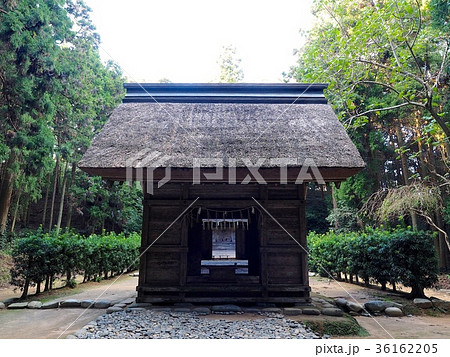 糸島市、櫻井大神宮の拝殿 36162205