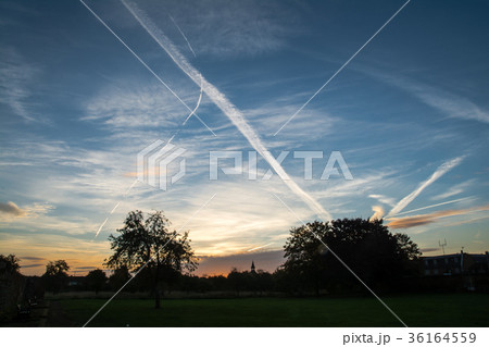 イギリス郊外の田舎 夜明け前の公園と青空に描かれた一本の飛行機雲 イギリス郊外の田舎 夜明け前の公園と青空に描かれた一本の飛行機雲 36164559