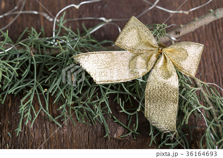 winter, environment, floral design concept. on the 36164693
