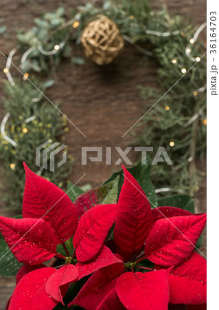 nature, winter holidays, decor concept. on the 36164703