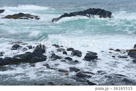 黄金岬の波濤 36165515