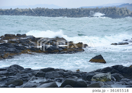 黄金岬の波濤 36165518