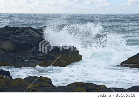 黄金岬の波濤 36165519