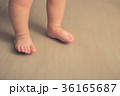 Baby's first steps 36165687