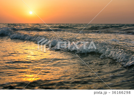 Calm sunset on the beach 36166298