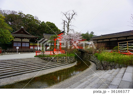 ユネスコ世界遺産 下鴨神社 ユネスコ世界遺産 下鴨神社 36166377