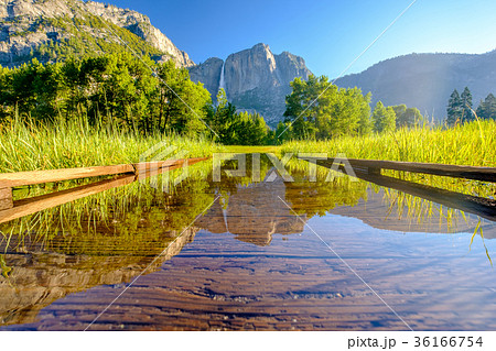 Meadow with flooded boardwalk and Yosemite Falls 36166754