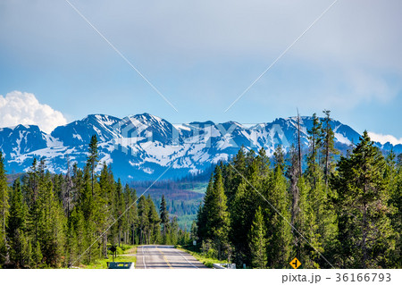 Road from Yellowstone to Grand Teton 36166793