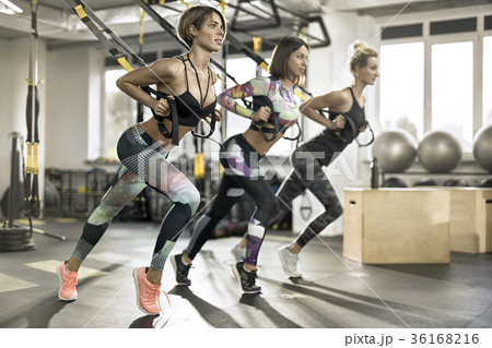 Sportive girls training in gym Sportive girls training in gym 36168216