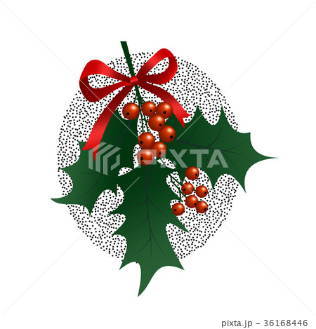 Holly branch on white background. Christmas 36168446