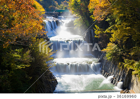 田原の滝　紅葉　[山梨県] 36169960