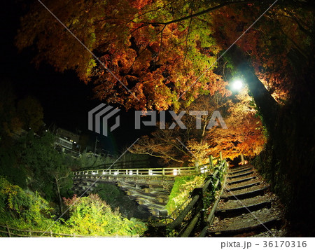 猿橋 36170316