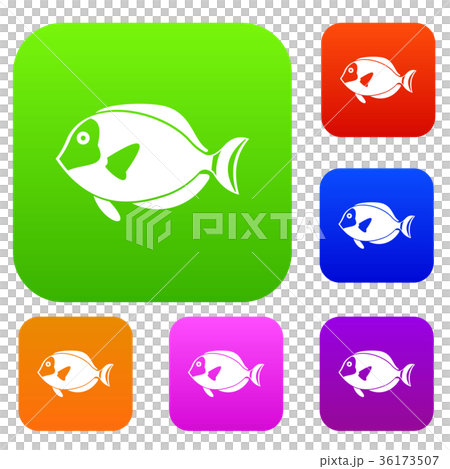 Surgeon fish set collection Surgeon fish set collection 36173507