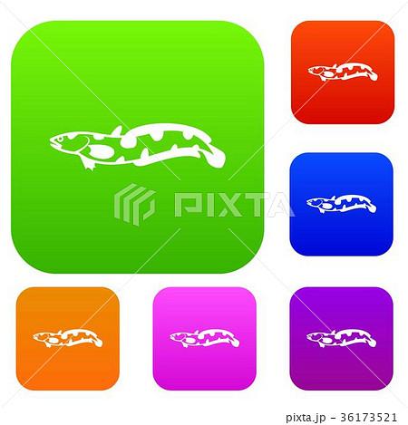Anarhichas fish set collection Anarhichas fish set collection 36173521