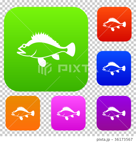 Rose fish, Sebastes norvegicus set collection 36173567