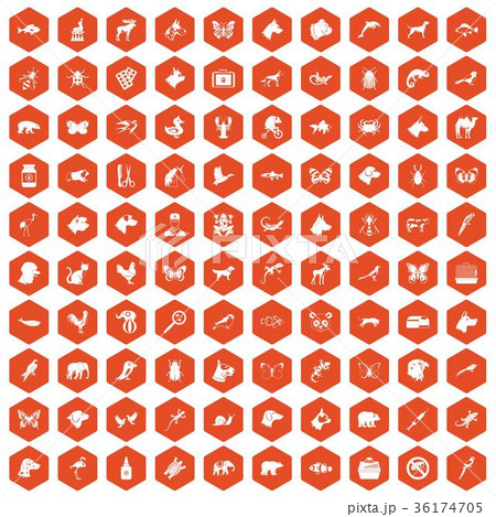 100 animals icons hexagon orange 36174705