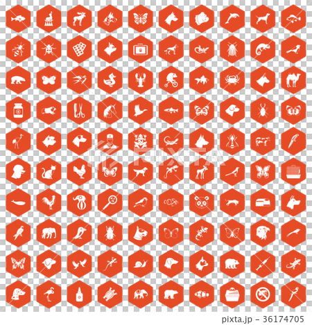 100 animals icons hexagon orange 36174705