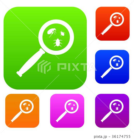 Magnifier and insects set collection 36174755