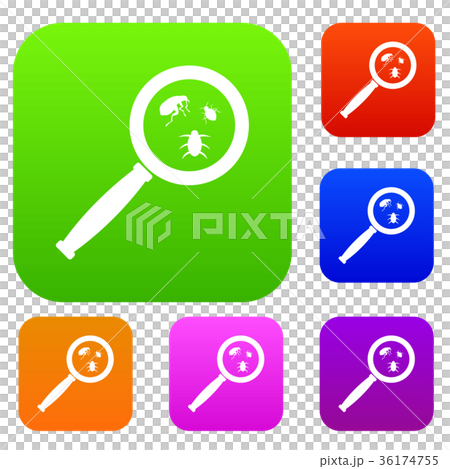 Magnifier and insects set collection 36174755